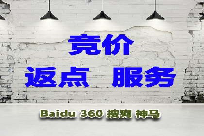 百度竞价推广运营策略：成功案例解析